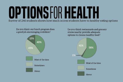 web-graphic-options-for-health