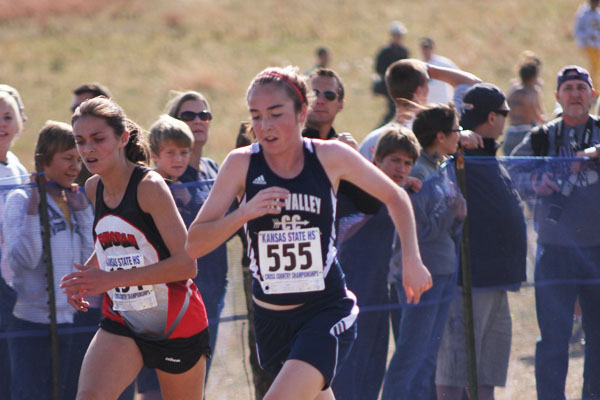 Cross country competes at State