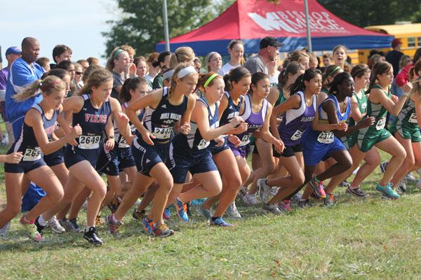 Cross country comes in second at meet