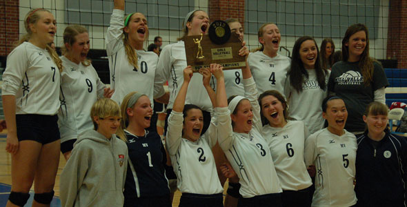 Volleyball heads to state tournament