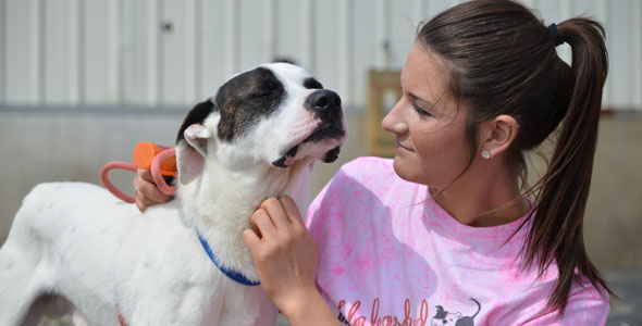 Senior Ally Garton volunteers at animal shelter