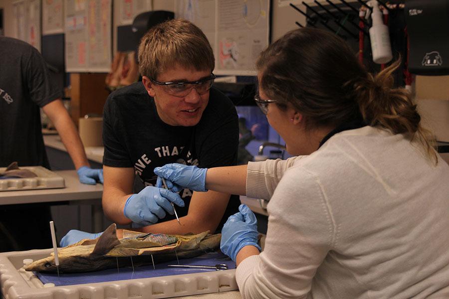 Senior Brooks Danahy examines a shark during Zoology on Wednesday, Jan. 15.