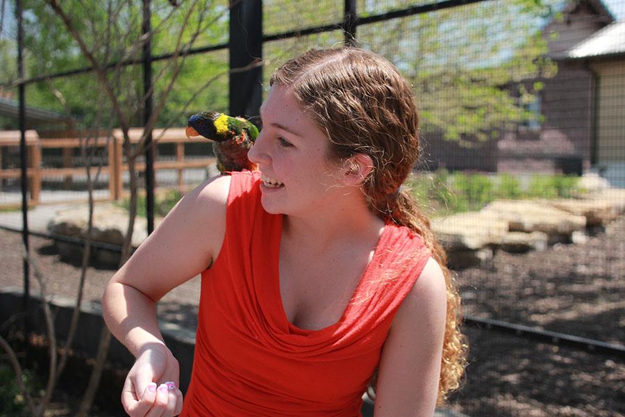 Photo Gallery: Senior class at the Kansas City Zoo:May 6