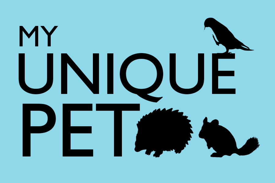 Students own and care for unique pets
