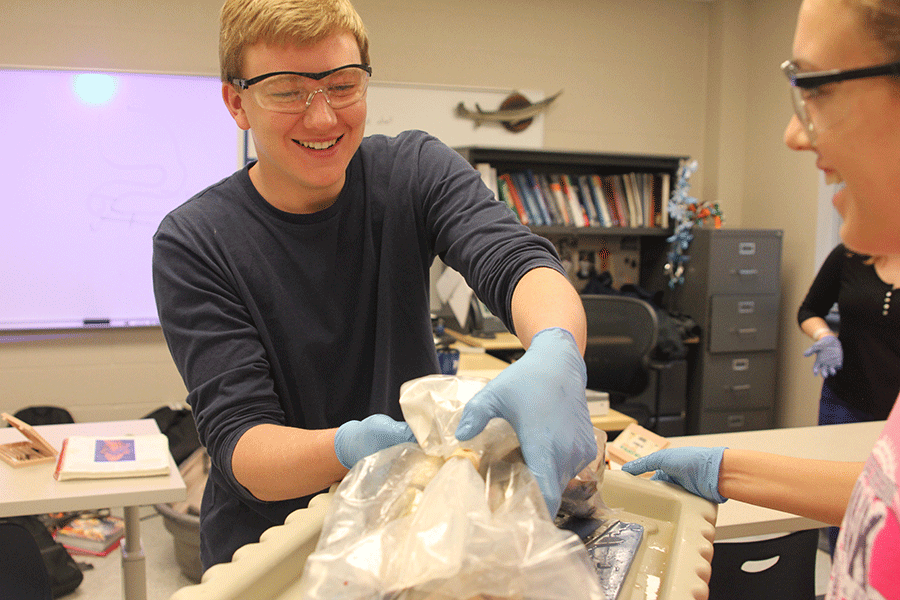 Science Teacher Eric Thomass Blue 2 class disscets Dogfish Sharks on Dec. 5 
