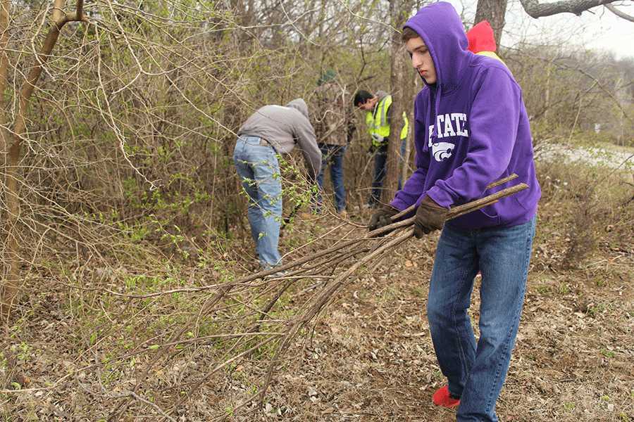 Senior Drew Nelson drags honeysuckle branches after cutting them away from Monticello Trails Park on Saturday, March 28. 