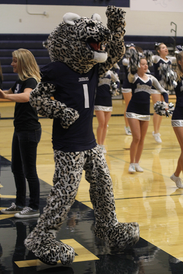 JJ the Jaguar cheers with the cheerleaders.