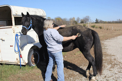 Off a dirt road in McClouth custodian Rhonda Jensen rides her horse on Sunday, Nov. 8. “I just love to ride,” Jensen said. “I like to go trail riding, but I haven’t had the time.”