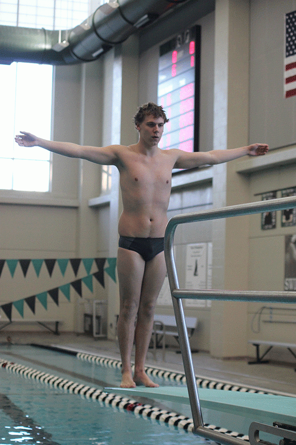 Standing at the edge of the diving board, junior Mitch Willoughby focuses before his final dive.