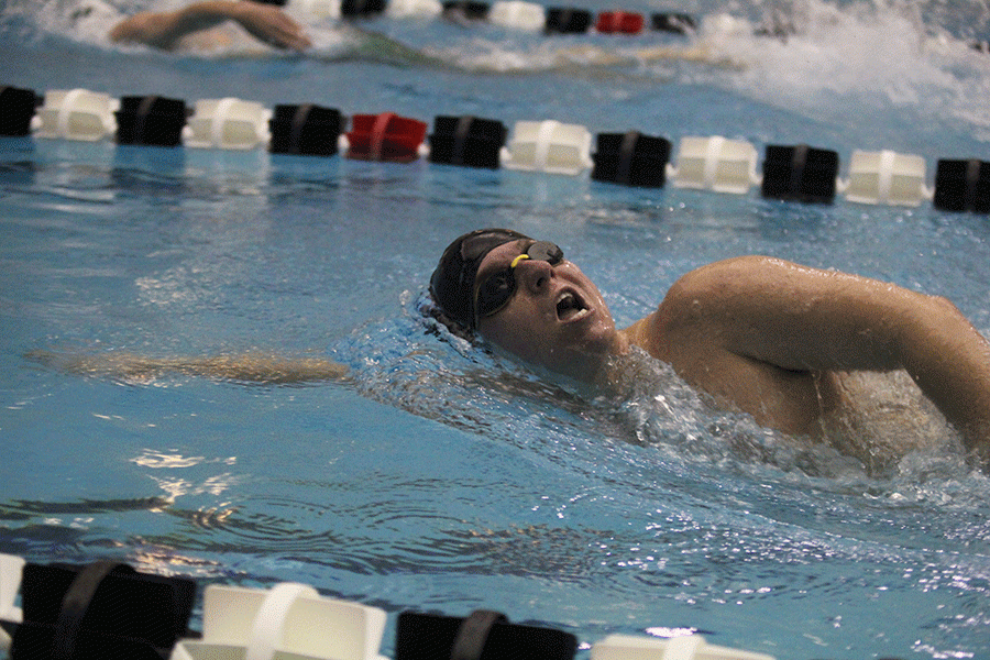 Coming up for air, senior Brendan Tener swims the freestyle.