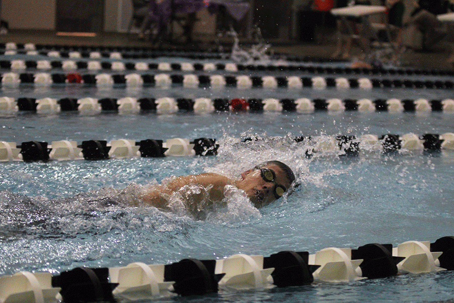 Sophomore Noah Kemper swims the freestyle at Blue Valley South West.