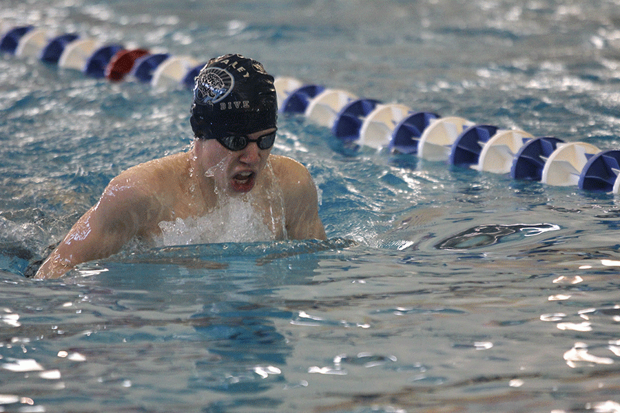 Freshman Chris Sprenger comes up for air as he swims the breast stroke.