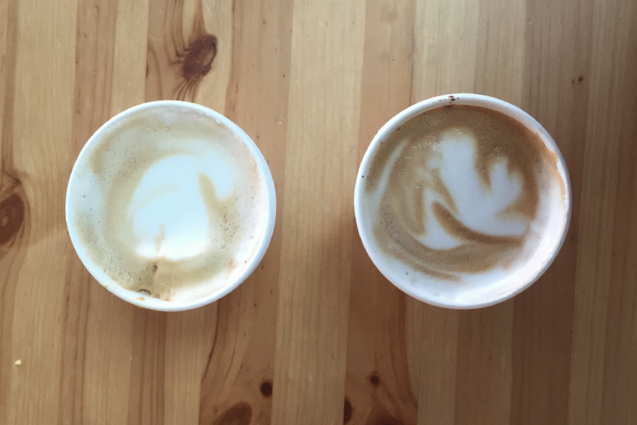 8 oz. Cappuccino and 8 oz. Mocha from Blackdog.