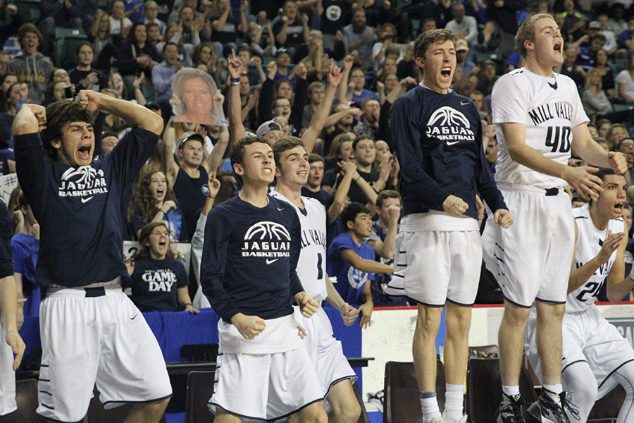 After scoring a point, players on the bench cheer.