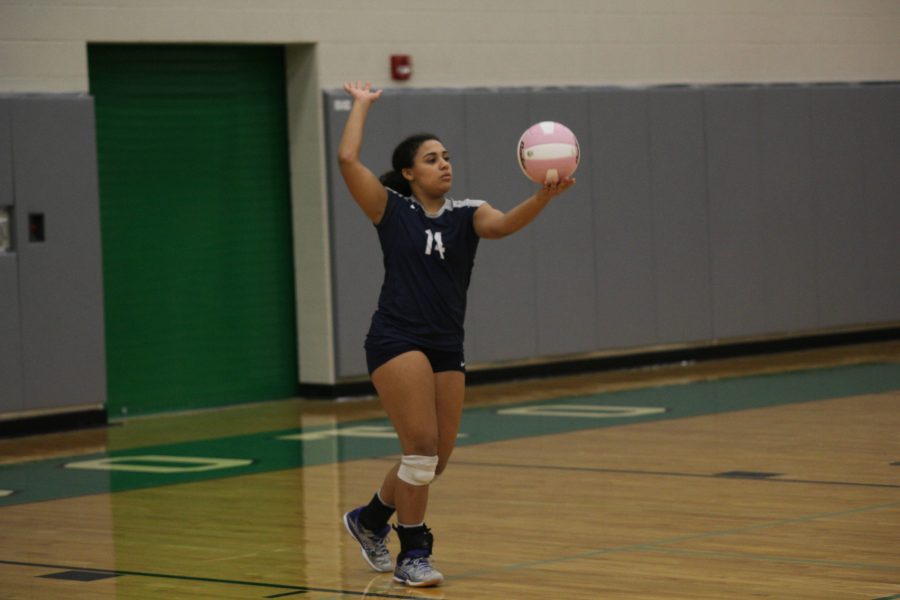 Volleyball falls to De Soto in three sets at Dig Pink game
