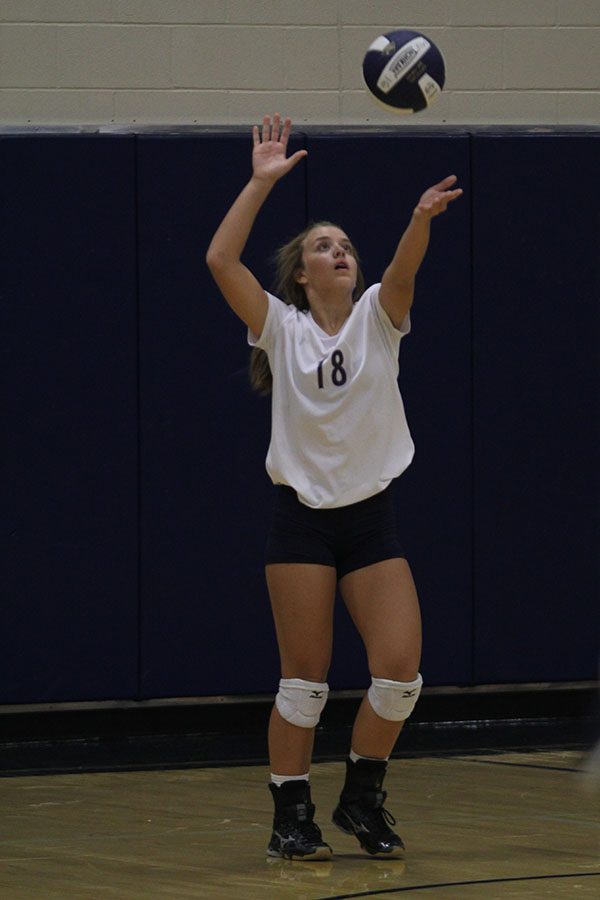 Freshman Whitney Van Dyke prepares to serve the ball.