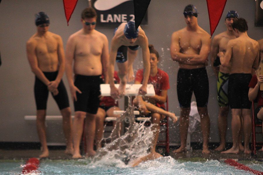 Freshman Avery Lawson dives into the pool  