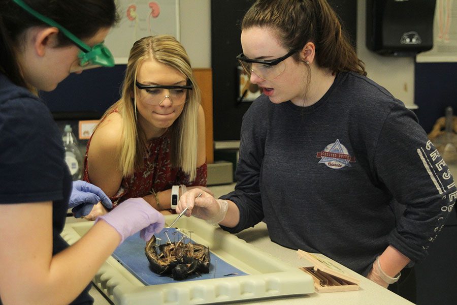 With her group, junior Sydney Ralston identify the different parts of the pigeon.