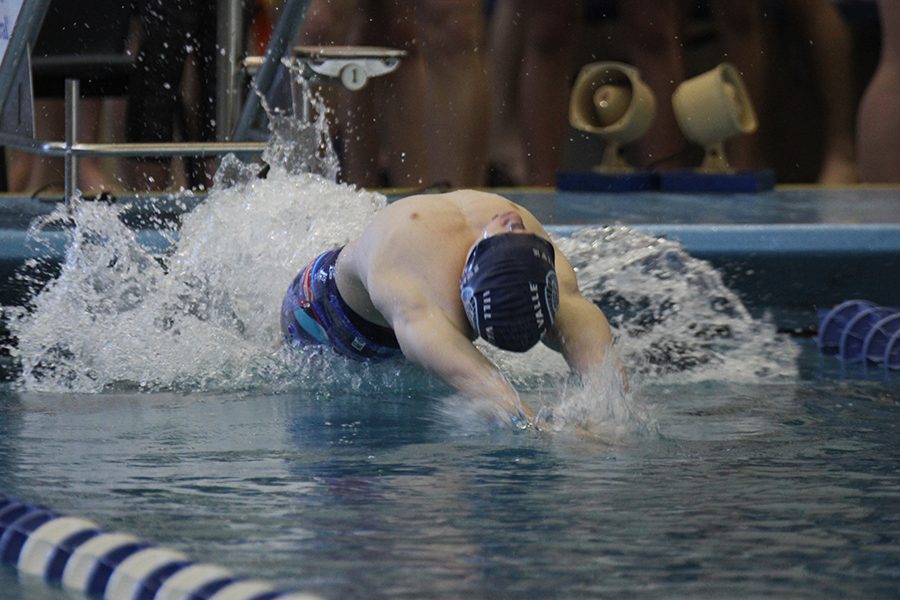 Sophomore Chris Sprenger launches off the start block beginning the 200 Medley relay during the first day of the Boys Swim and Dive state swim meet on Friday, February 17. The team had three individual medalists which helped them place 11th out of  38 teams.