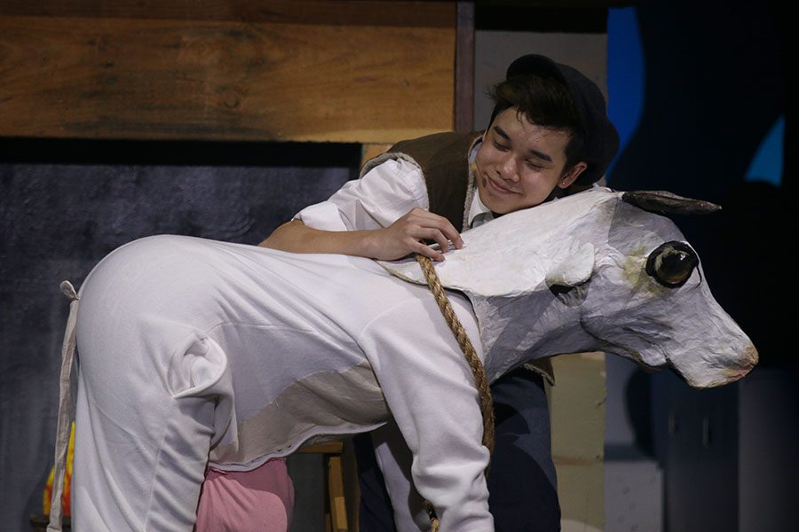 Jack, played by junior Simon Vongxay, hugs Milky White, played by junior Dakota Wilson.