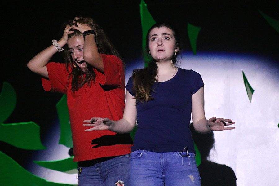 Lisa, played by senior Madison Ferguson, talks over sophomore Lauren Rothgeb.
