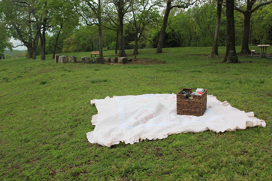 Shawnee Mission Park offers many 
options to have a picnic either on the lakefront or near the woods. 