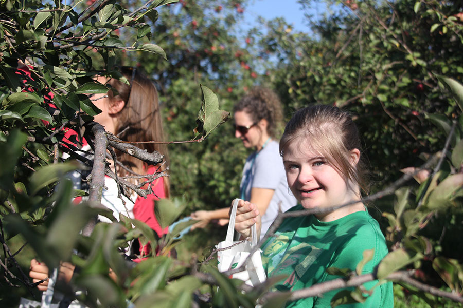 Sophomore Maria McElwee picks apples.