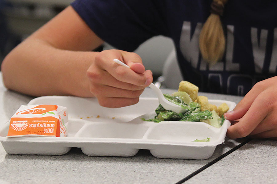 Without metal forks this year, students and staff have difficulty cutting and eating tougher foods provided with sporks.