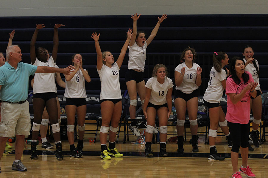 Annual Dig Pink volleyball match on Thursday, Sept. 21 honors De Soto dad who passed away from cancer this year. After a block that scores a point, the team jumps off the bench and cheers for their team.