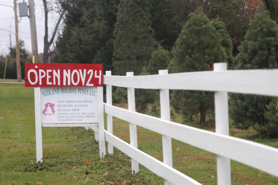 A sign off of Midland Drive marks Midland Holiday Pines with additional information including opening day.