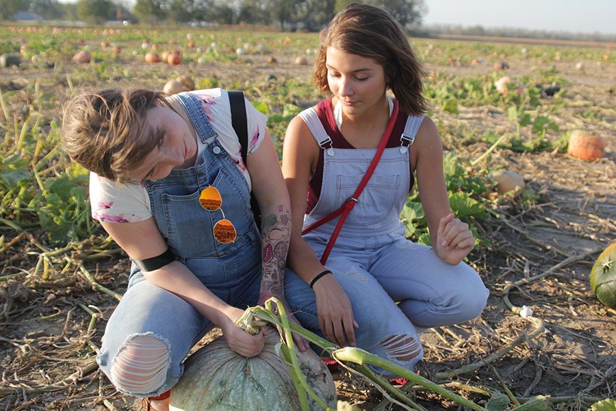 While holding the stem of a pumpkin, senior Kiley Beran looks at the field. 