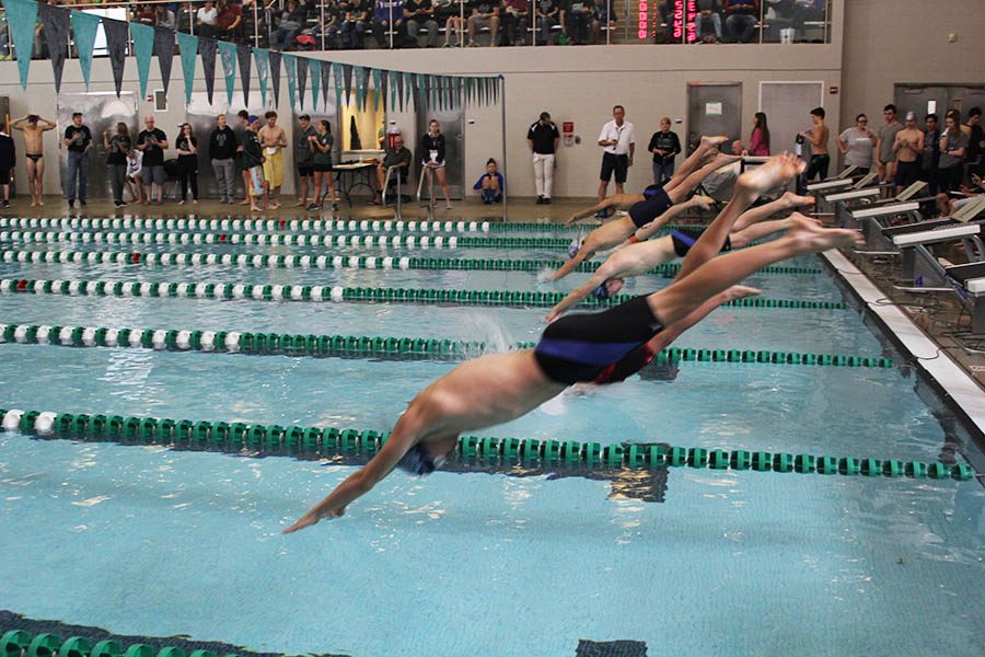 Freshman Cole McClure dives off the block to start his 100 yard breaststroke.