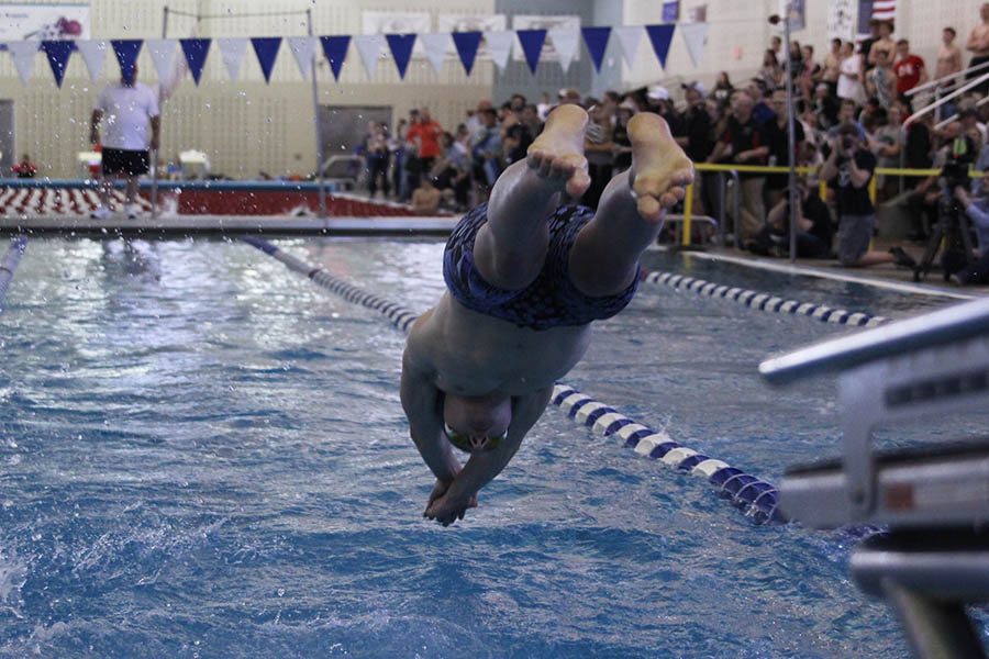 To start the 200 medley relay, junior Ethan Forristal dives off the block on Saturday, Feb. 17.
