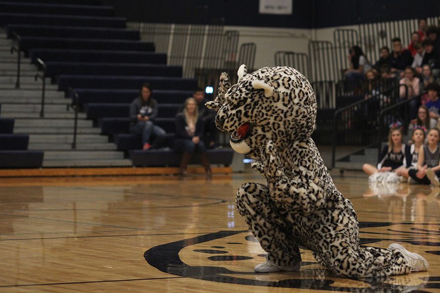 JJ the Jaguar poses during a dance with junior Ashton Rider.