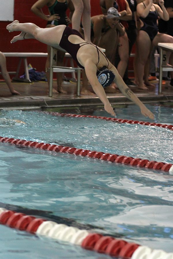Freshman Caroline Lawson dives into the water.