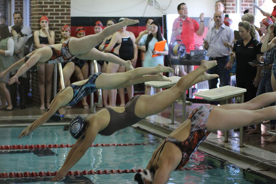 Sophomore Hannah Davie dives off the block into the water.
