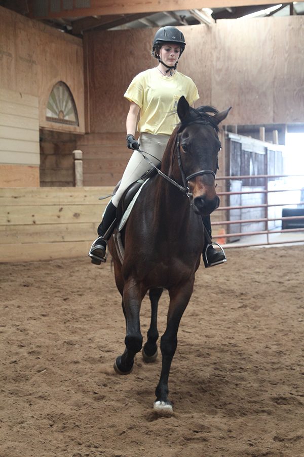 After saddling up on Monday, April 30, senior Natalie Cooper rides her horse Dillon. “When you’re riding, you’re controlling a 1200 pound animal and he listens and knows what you’re asking,” Cooper said. “That’s probably what I like most; he understands you without talking.”