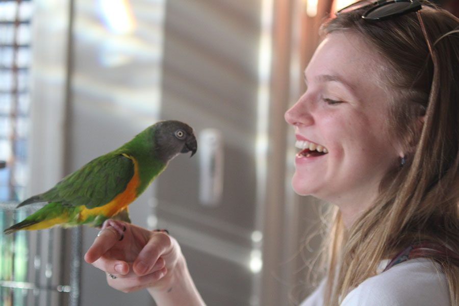 Senior Mary Kate Stoneburner laughs with her bird on Friday, April 27.
