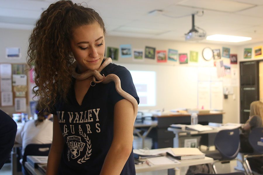 While completing stations on Friday, Sept. 7, senior Riley Lewis holds a snake, one of the many animals in science teacher Julie Roberts room.