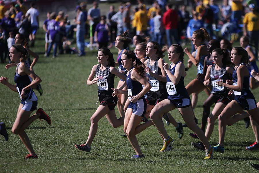 Following the gunshot signifying the beginning of the race, the girls take a powerful start.

