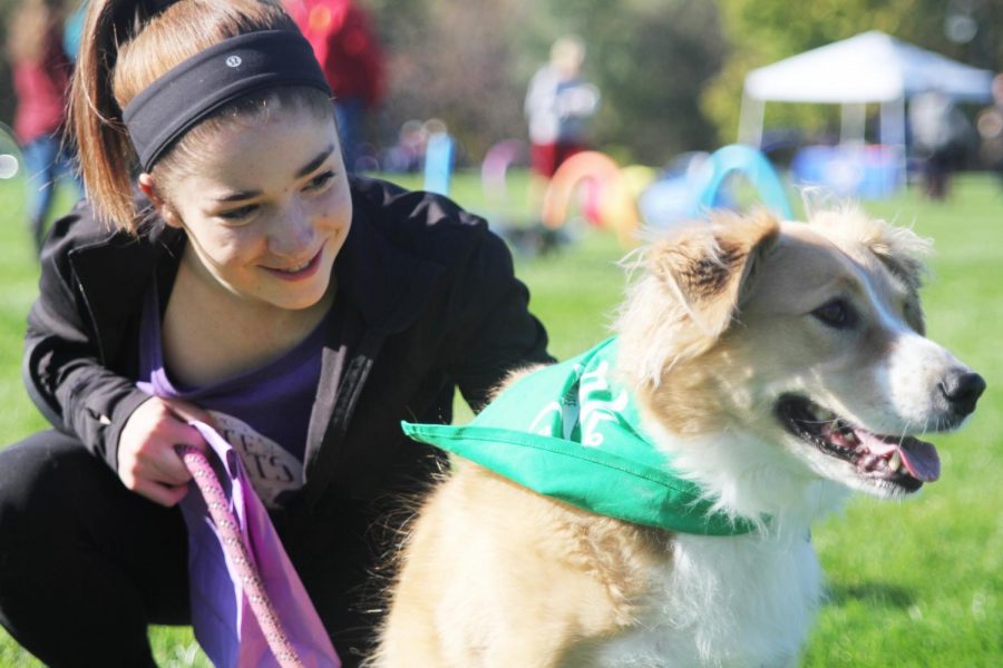 First annual Bark for Life hosted by school