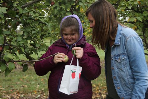 Gallery: Peers in Learning gains experience outside the classroom at Cider Hill Family Orchard