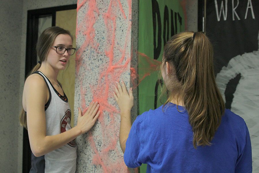 As she shows fellow judge sophomore Belle Bonn the fake spider webs, senior Erin Miller feels the faux webs surrounding social studies teacher Chris McAfee’s classroom door.