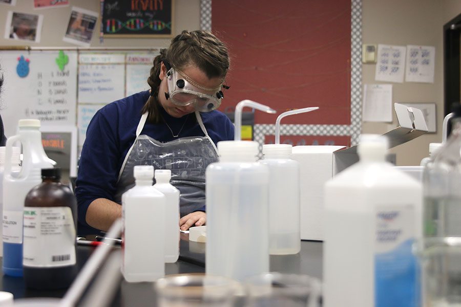 Surrounded by solvents, senior Ambria Shawger carefully adds pen ink to chromatography paper during the Forensics event.