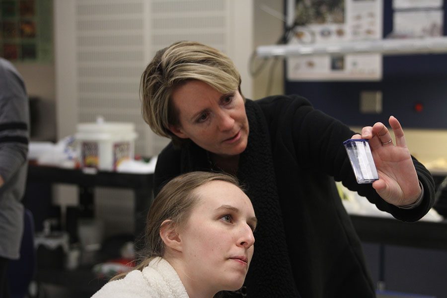 During a soil productivity lab in AP Environmental Science on Friday, Jan. 25, science teacher Julie Roberts helps senior Liz Fraka compare the phosphorus level of a soil sample.