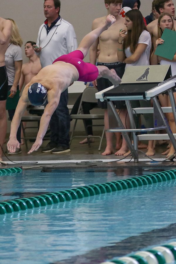After the buzzer rings, junior Avery Lawson jumps off the block into the pool to start the 200 Yard Freestyle Relay.