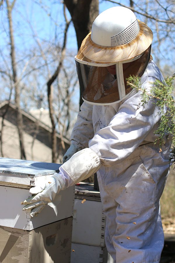 Beekeeper Jeffery Hoover reattaches the top feeder to the hive, which currently holds a 20-pound sugar cake.  The bees will continue to feed from the sugar cake in addition to the local flora.