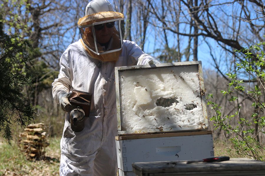 Holding up a bee smoker in his left hand, beekeeper Jeffery Hoover removes the top portion of the hive to begin his work on Monday April 8.