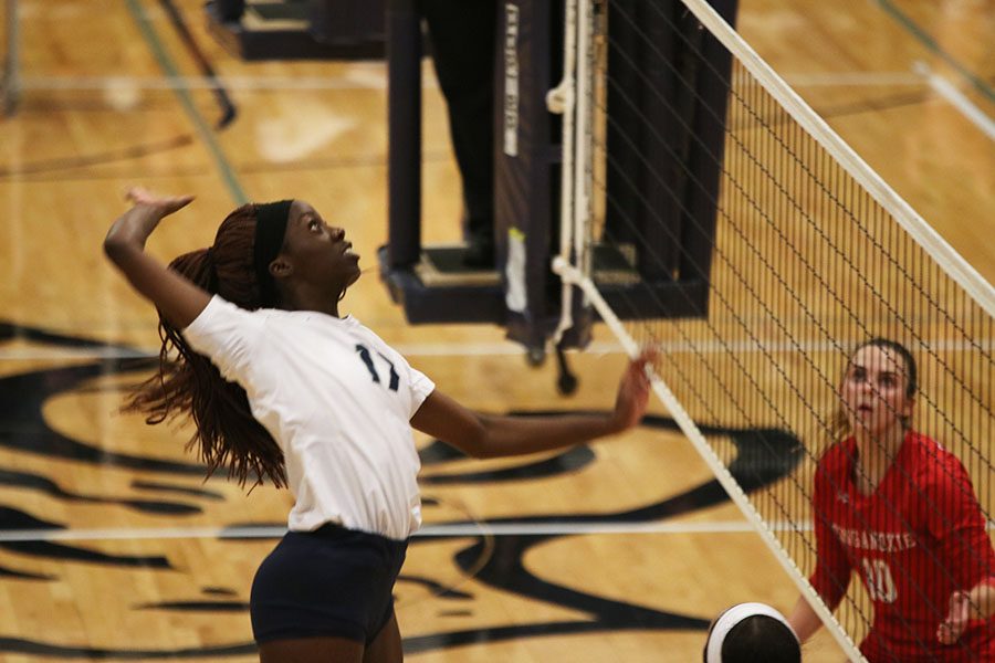 As senior Faith Archibong prepares to hit the ball over the net, she extends an arm behind her. 