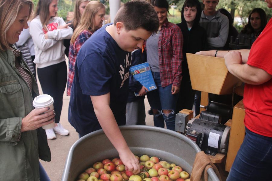 Learning how cider is made, student Max Holland picks out an apple to grind up.
